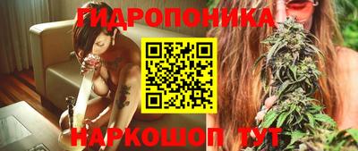 mdpv Краснознаменск