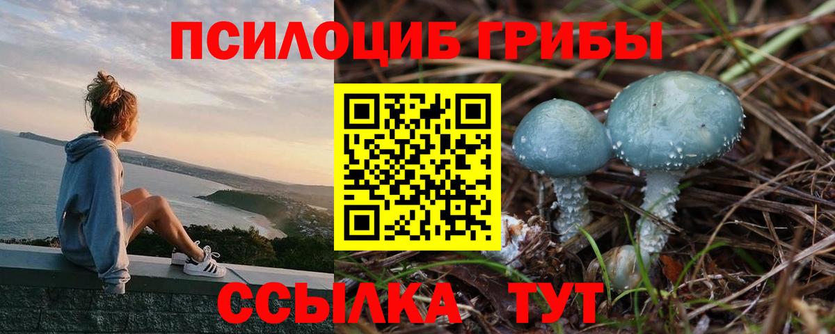 Елабуга  Галлюциногенные грибы Magic Shrooms  Вход с VPN  Галлюциногенные грибы Psilocybine cubensis 
